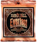 ERNIEBALL EB2544 EVERLAST PSB MEDIUM