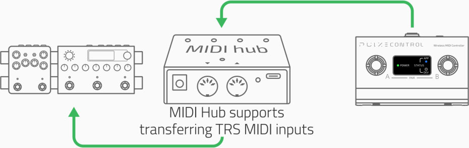 HOTONE PULZE CONTROL