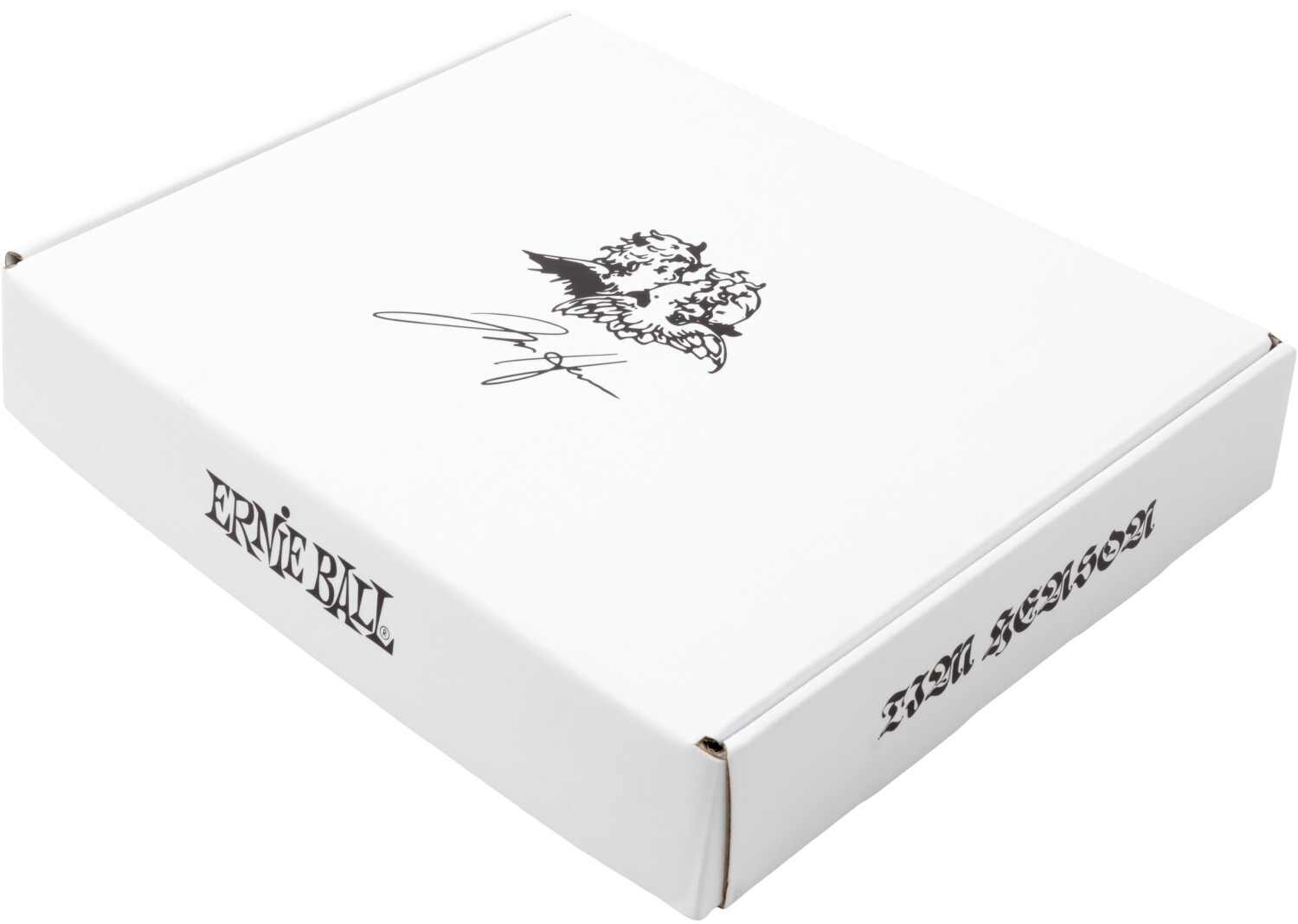 ERNIEBALL 9635 TIM HENSON SIGNATURE BUNDLE