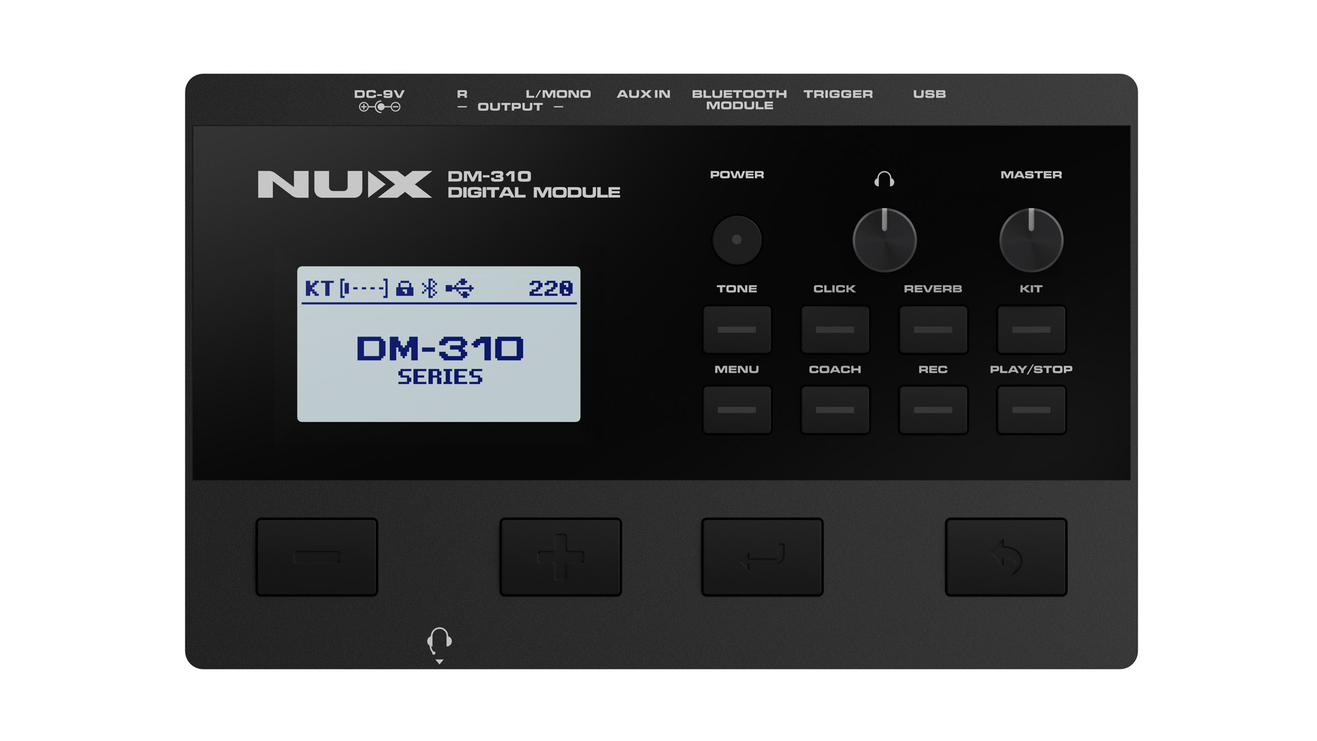 NUX DM-310