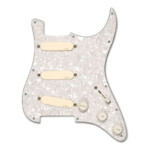 EMG DG20 DAVID GILMOUR SIGNATURE PICKGUARD SET IVORY/WHITE