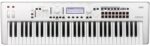 KORG KROSS 2 61 WHITE LIMITED EDITION