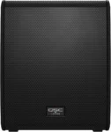 QSC LS118