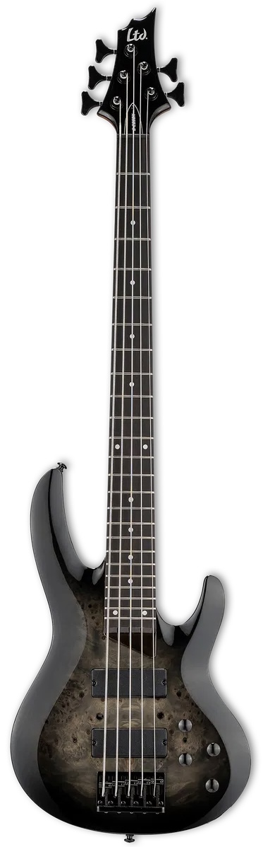 ESP LTD B-205DX BLACK BURST
