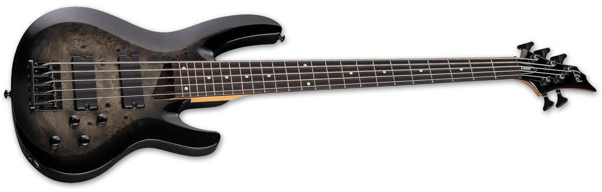 ESP LTD B-205DX BLACK BURST