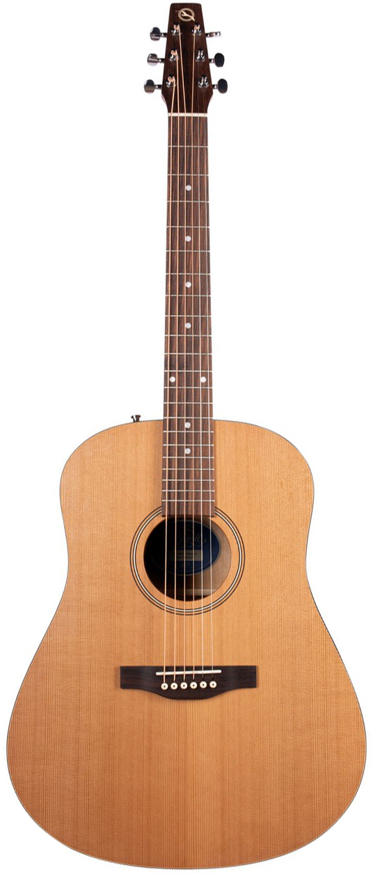 SEAGULL S6 COLLECTION 1982