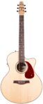 SEAGULL PERFORMER CW MINI JUMBO HG PRESYS II