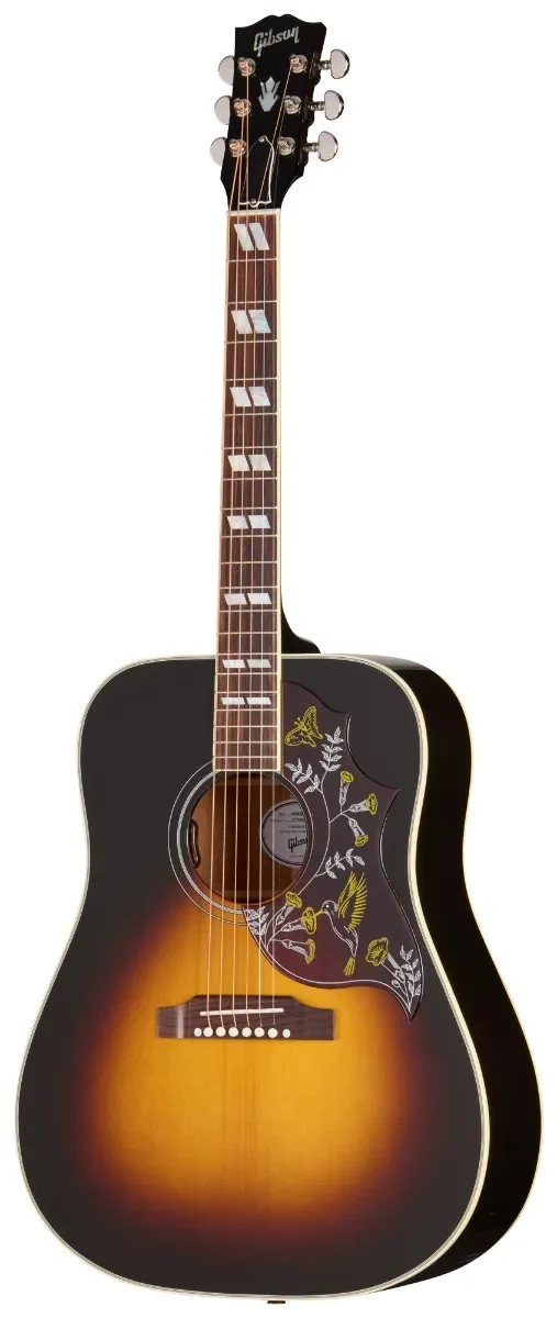 GIBSON HUMMINGBIRD STANDARD VS HIFI DNA 2026
