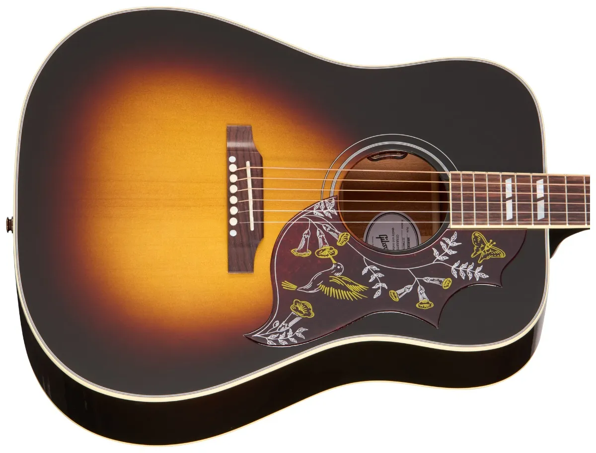 GIBSON HUMMINGBIRD STANDARD VS HIFI DNA 2026